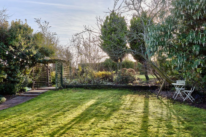 Images for Chapel Hill, Darrington