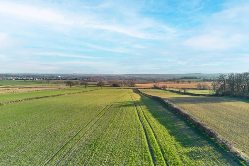 Images for Ulaka, Clayton