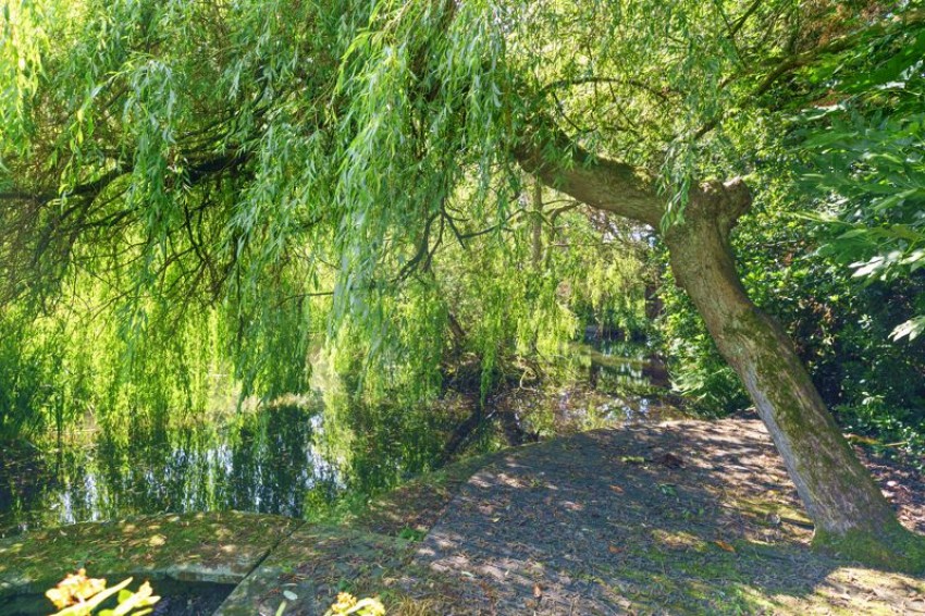Images for Low Fold, Eldwick