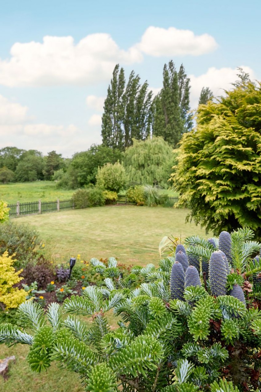 Images for Riverside Lodge, Water Lane, Kirk Smeaton