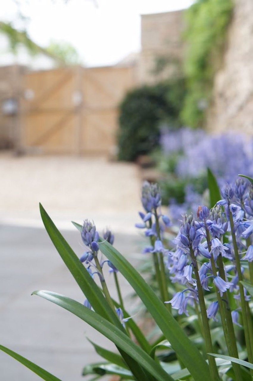 Images for Grange Lane, Burghwallis