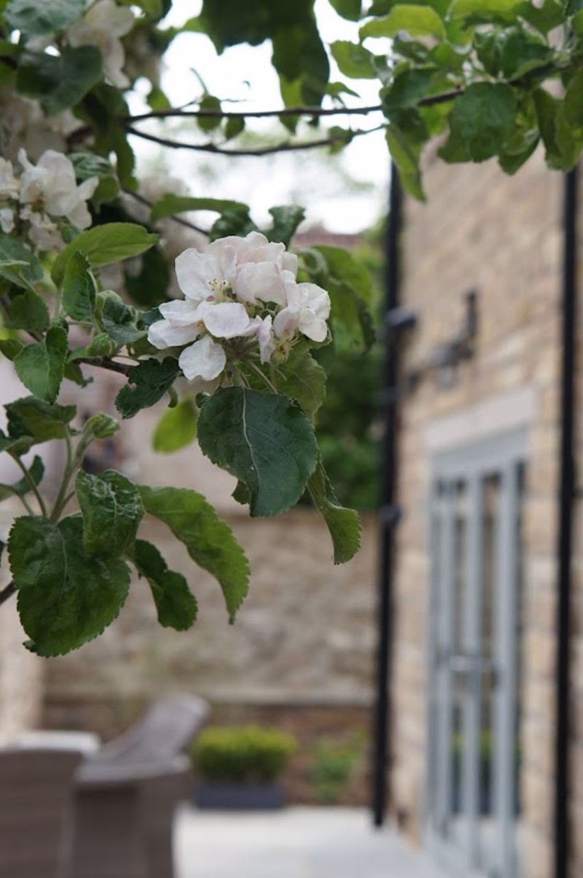 Images for Grange Lane, Burghwallis