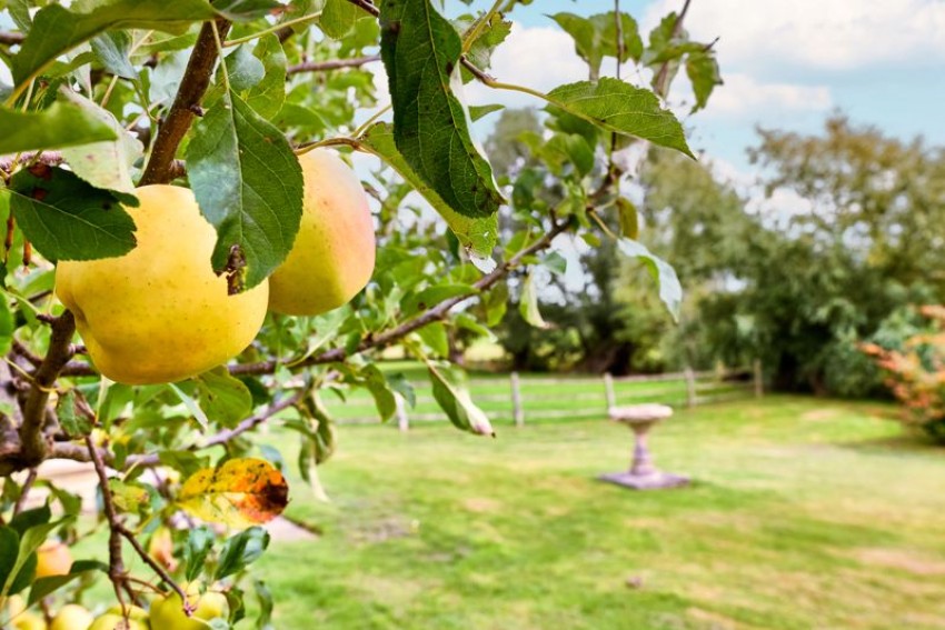 Images for Wentdale, Little Smeaton