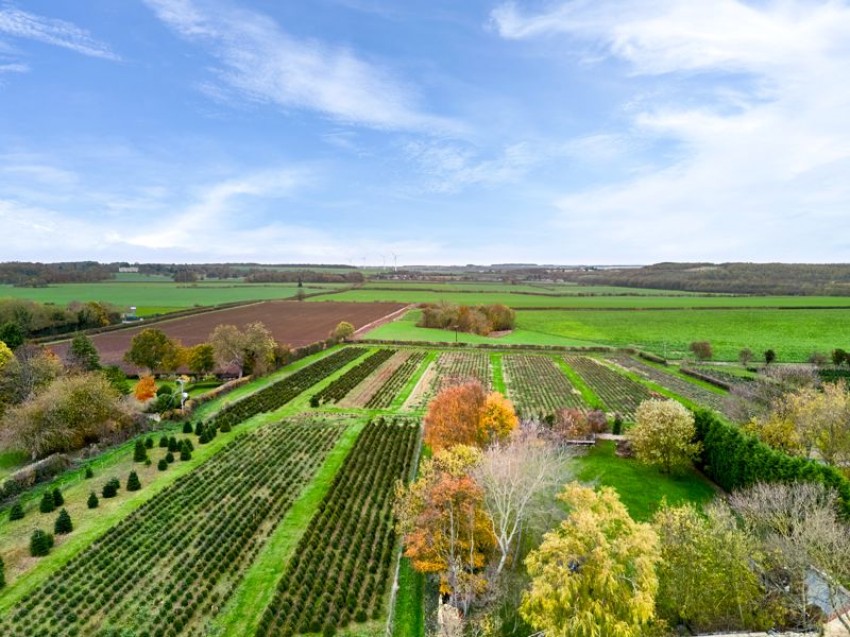 Images for Barnsley Road, Marr